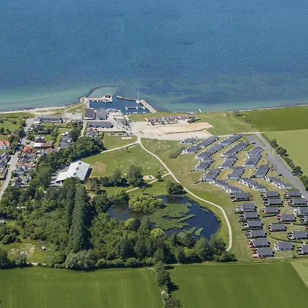 Sohus * Fæbæk